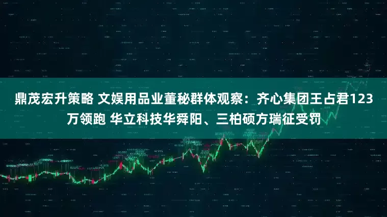 鼎茂宏升策略 文娱用品业董秘群体观察：齐心集团王占君123万领跑 华立科技华舜阳、三柏硕方瑞征受罚