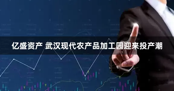 亿盛资产 武汉现代农产品加工园迎来投产潮