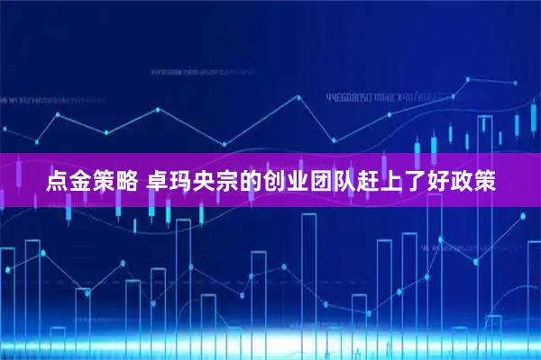 点金策略 卓玛央宗的创业团队赶上了好政策